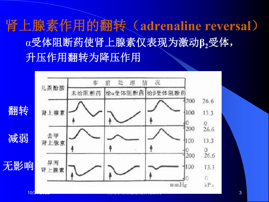 药理学肾上腺素受体阻断药培训课件.ppt_第3页