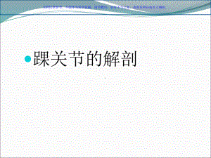 踝关节融合和置换课件.ppt