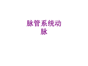 脉管系统动脉课件.ppt