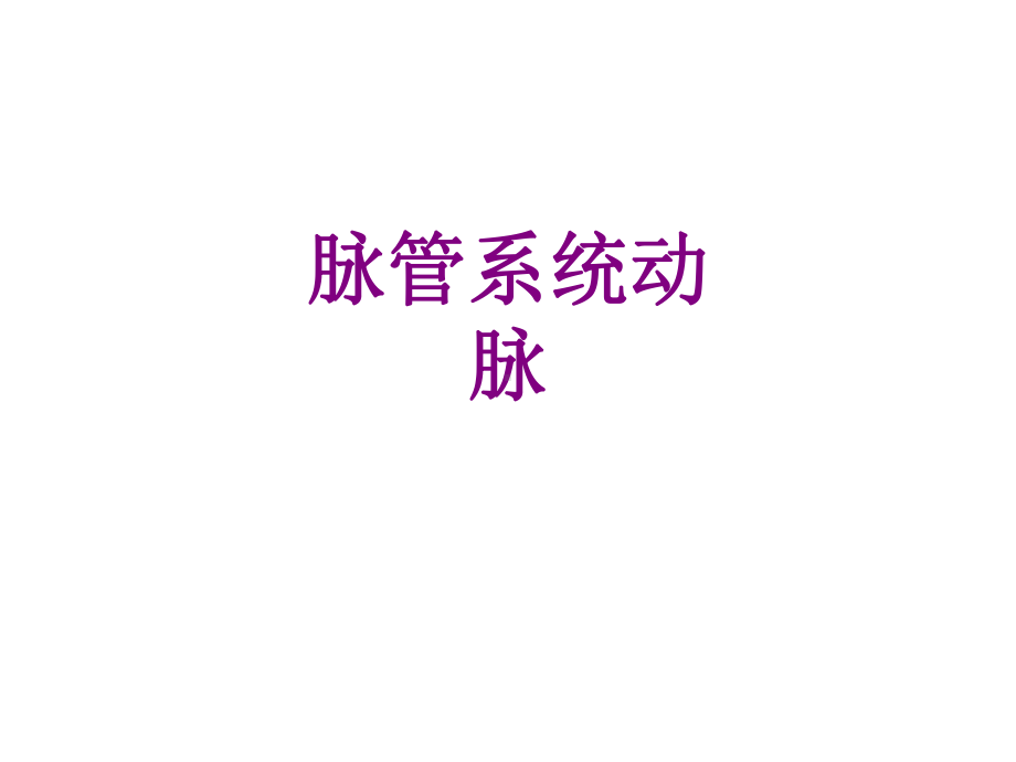 脉管系统动脉课件.ppt_第1页