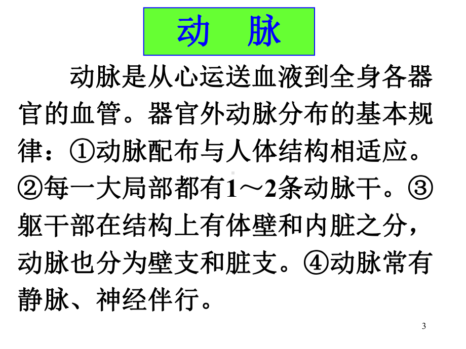 脉管系统动脉课件.ppt_第3页