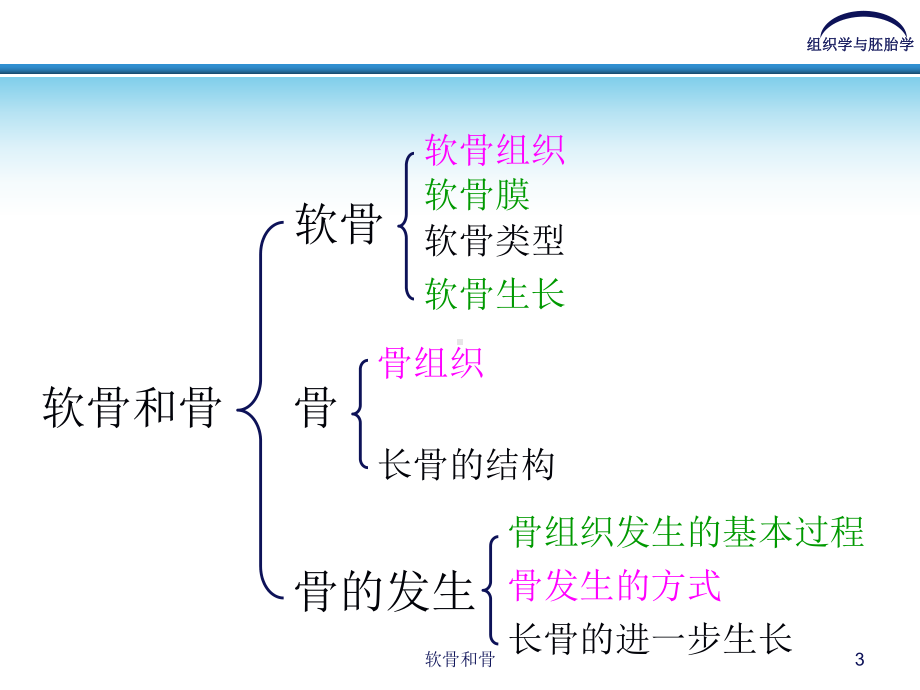 软骨和骨课件.ppt_第3页