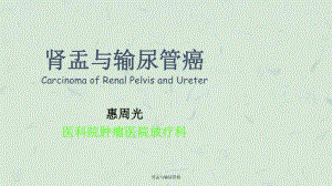 肾盂与输尿管癌课件.ppt