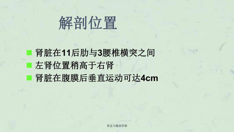 肾盂与输尿管癌课件.ppt_第2页