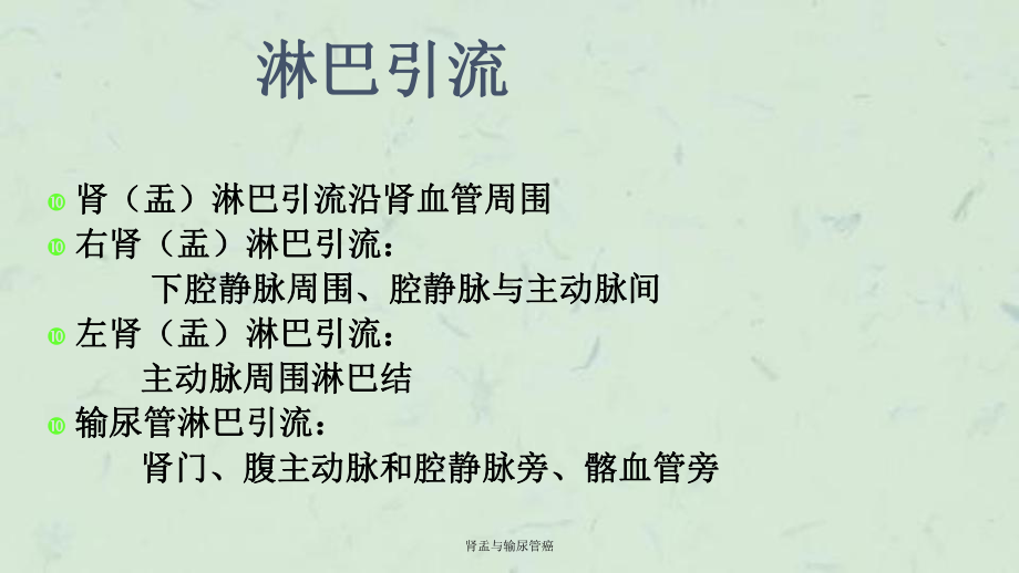 肾盂与输尿管癌课件.ppt_第3页