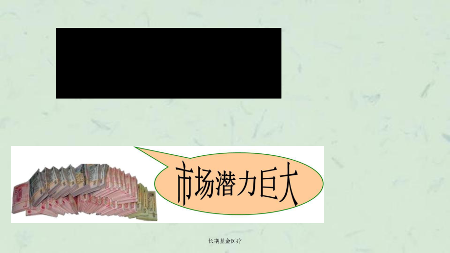 长期基金医疗课件.ppt_第1页