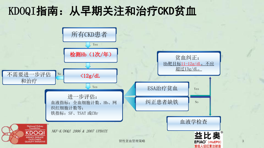 肾性贫血管理策略课件.ppt_第3页