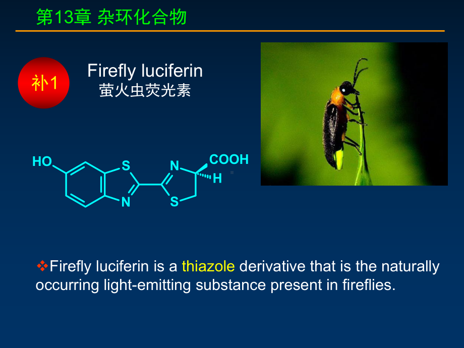 杂环化合物习题课件.ppt_第3页