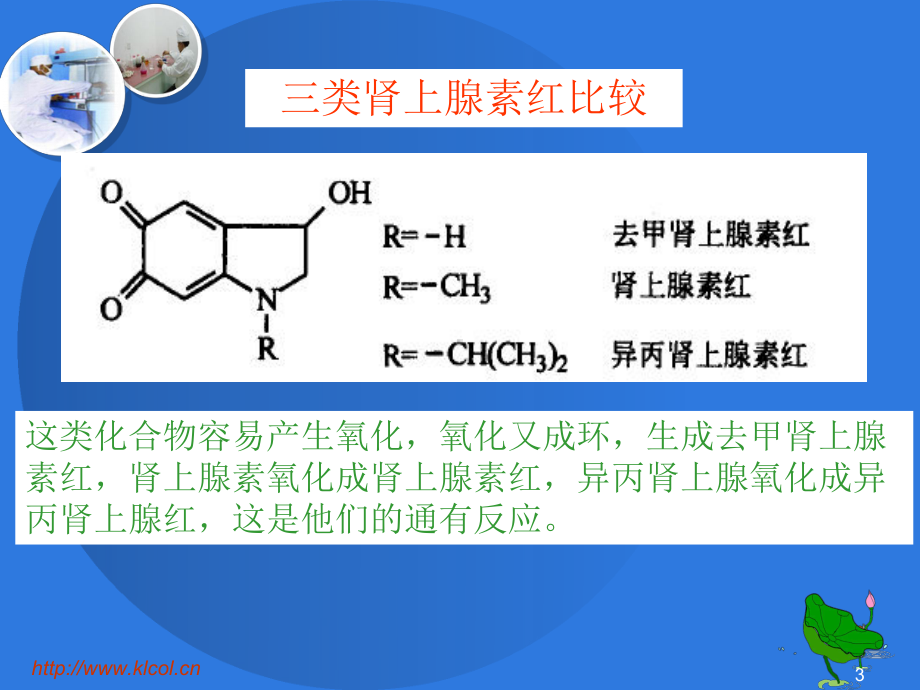 药物化学-去甲肾上腺素-肾上腺素-异丙肾上腺课件.ppt_第3页