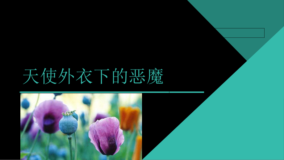 毒品犯罪-课件.ppt_第2页