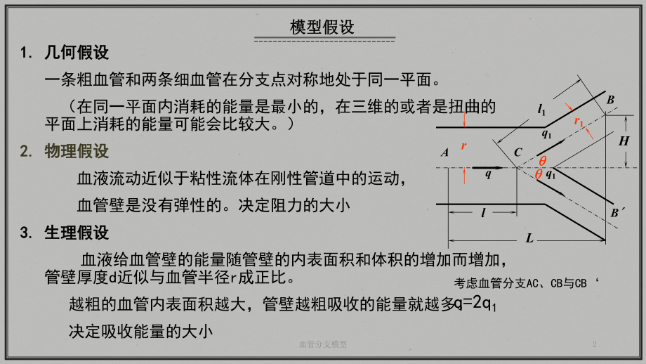 血管分支模型培训课件.ppt_第2页