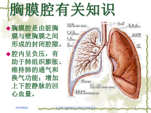 自发性气胸疾病病人的医疗护理查房培训课件.ppt