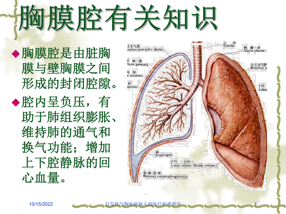 自发性气胸疾病病人的医疗护理查房培训课件.ppt_第1页