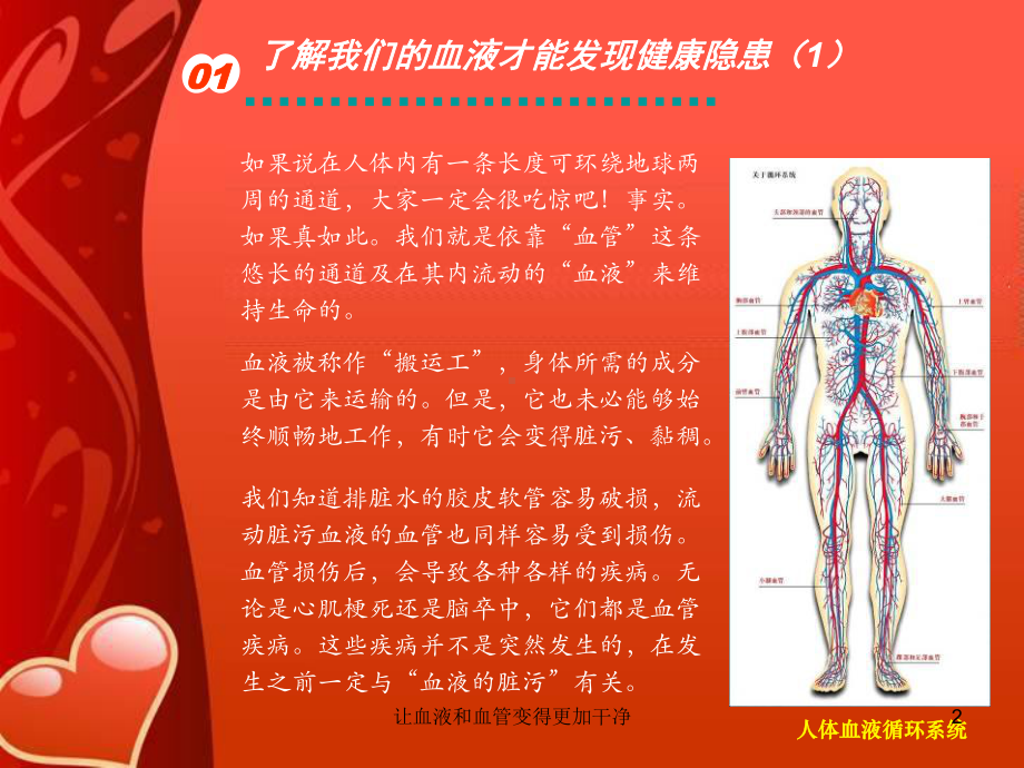 让血液和血管变得更加干净课件.ppt_第2页