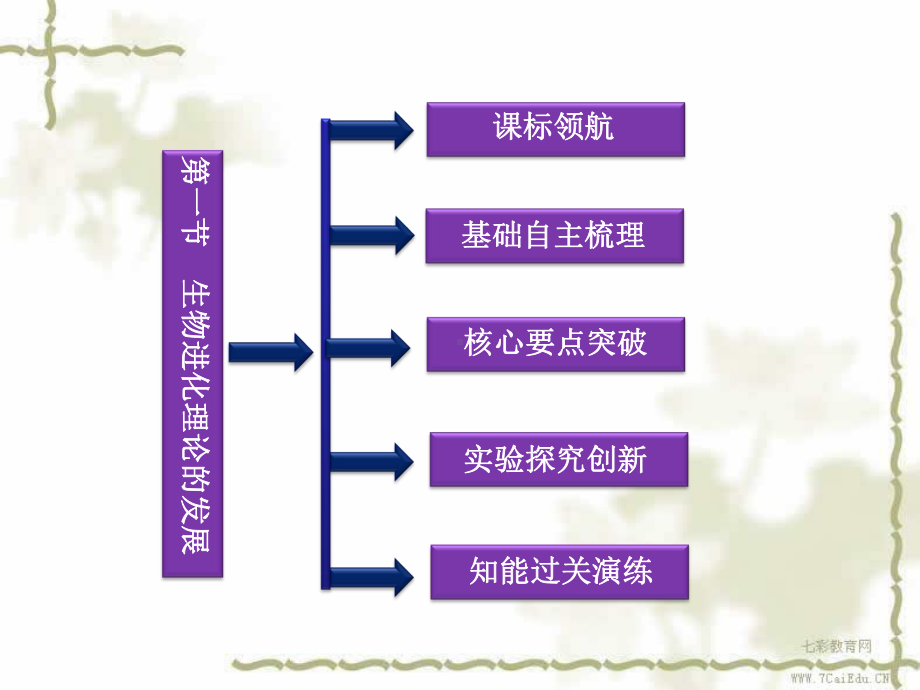 生物必修ⅱ苏教版51-生物进化理论的发展-课件.ppt_第3页