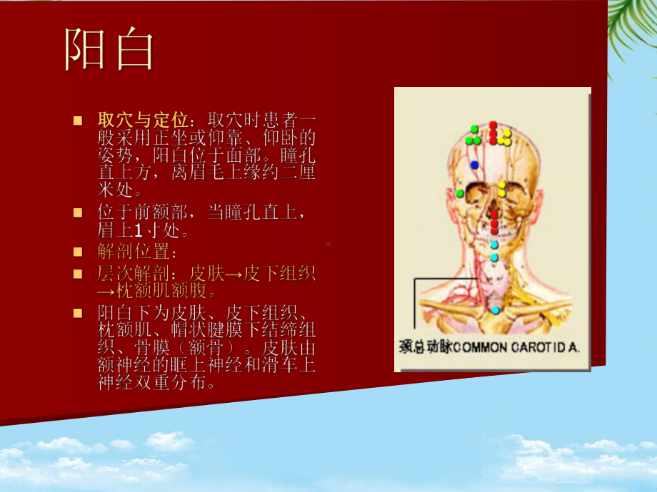 面瘫治疗常用穴位模板课件.ppt_第2页