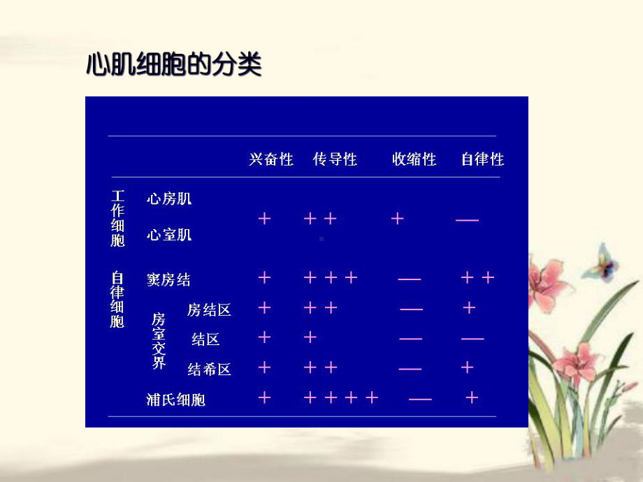 生理循环系统心脏射血和充盈课件.ppt_第2页