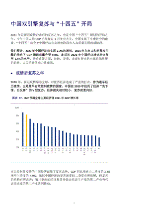 中国双引擎复苏及十四五开局畅想课件.pptx