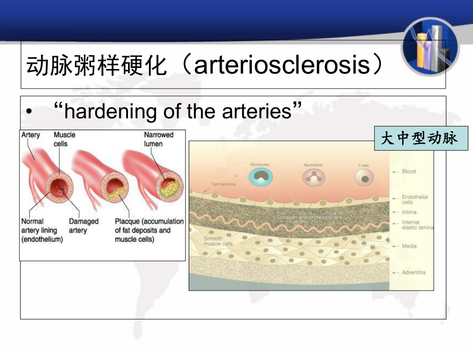 病理学-心血管系统疾病课件.ppt_第2页