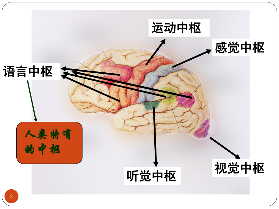 脑梗死护理查房提问教学课件.ppt_第2页