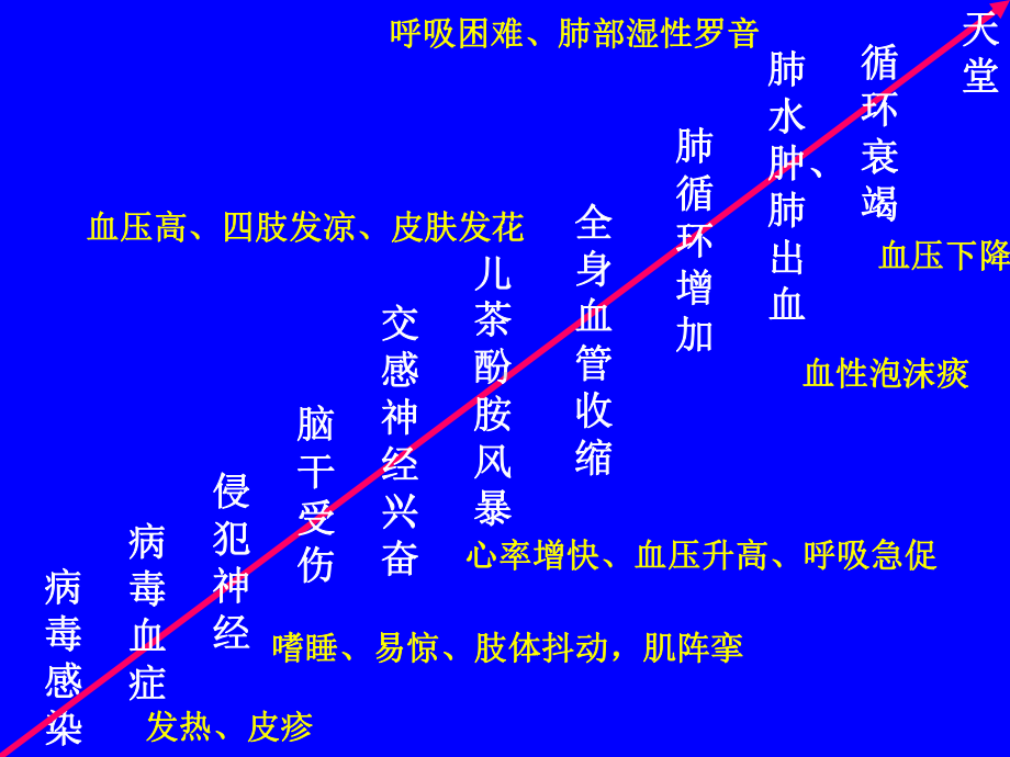 手足口病-对儿科医生全面考量课件.ppt_第3页