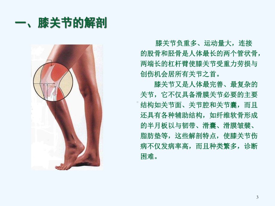 膝关节骨性关节炎的中医综合治疗课件.ppt_第3页