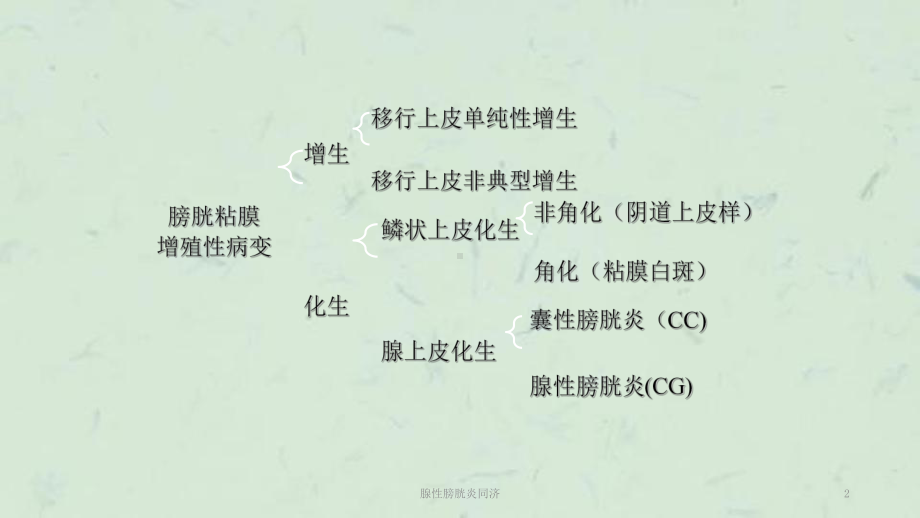 腺性膀胱炎同济课件.ppt_第2页