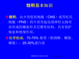 脱髓鞘疾病专题知识讲座培训课件.ppt