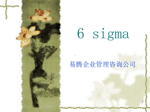 易腾企业管理咨询--6sigma全套-课件.ppt