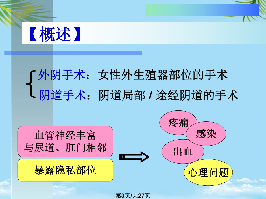 阴式手术患者的护理全面版课件.pptx_第3页