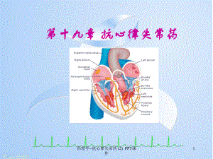 药理学抗心律失常药-2-课件.ppt