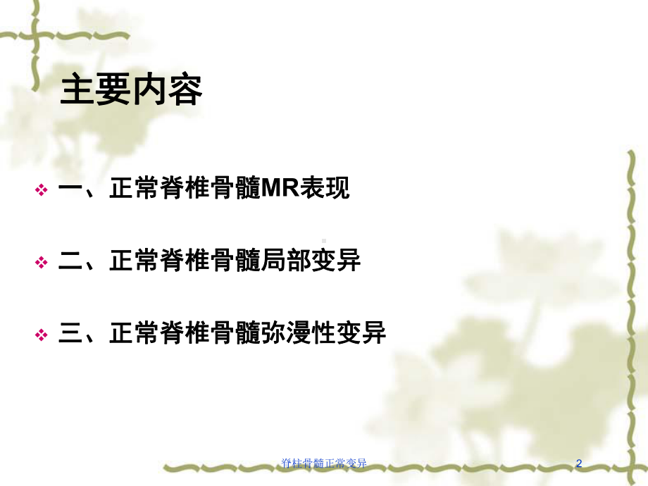 脊柱骨髓正常变异培训课件.ppt_第2页