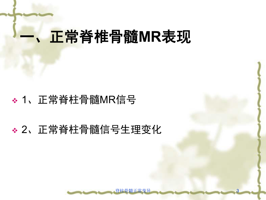 脊柱骨髓正常变异培训课件.ppt_第3页