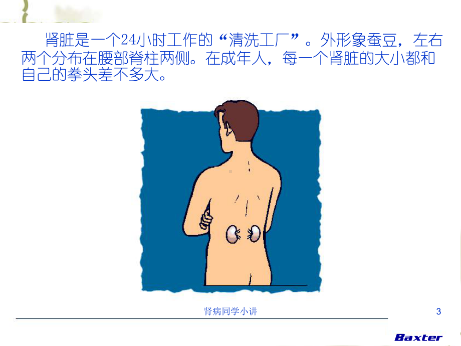 肾病同学小讲课件.ppt_第3页