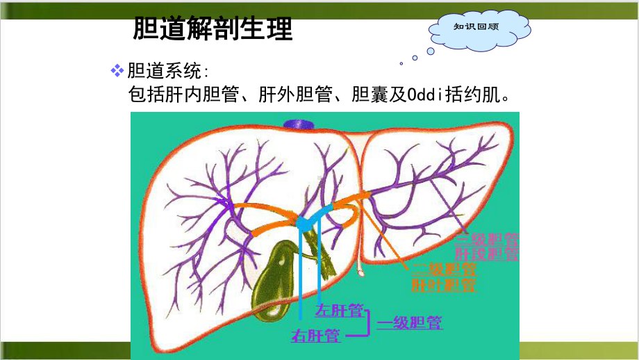 胆石症患者的护理课件-2.ppt_第3页