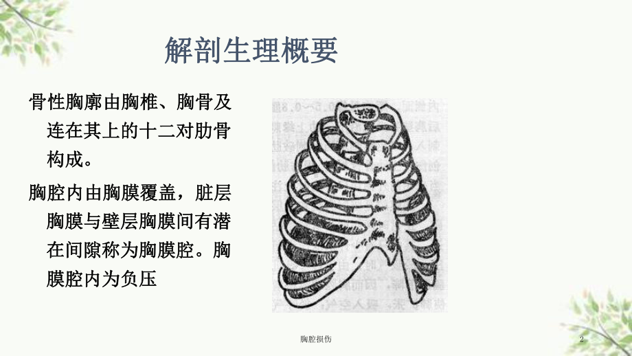 胸腔损伤课件.ppt_第2页