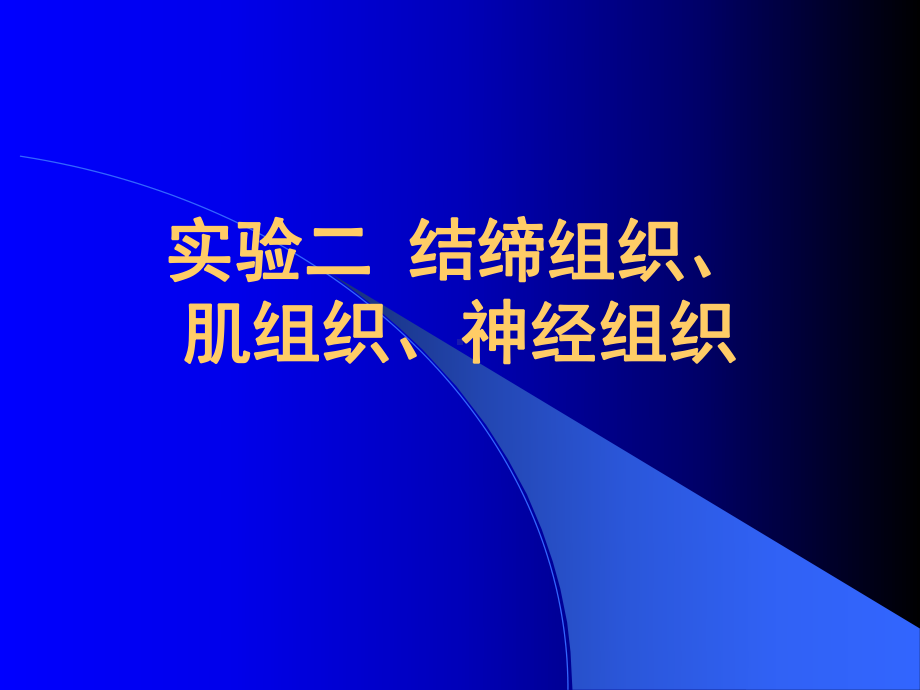 实验二结缔组织肌组织神经组织课件.ppt_第1页