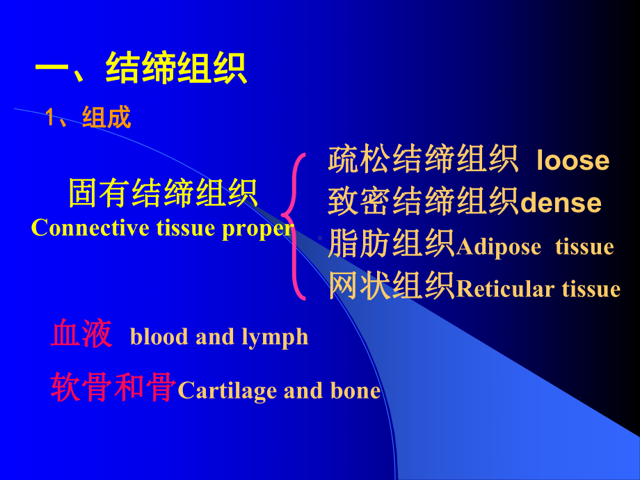 实验二结缔组织肌组织神经组织课件.ppt_第3页