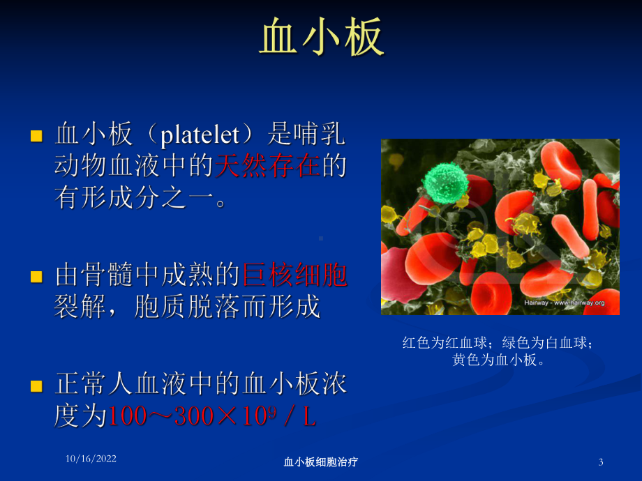 血小板细胞治疗培训课件.ppt_第3页