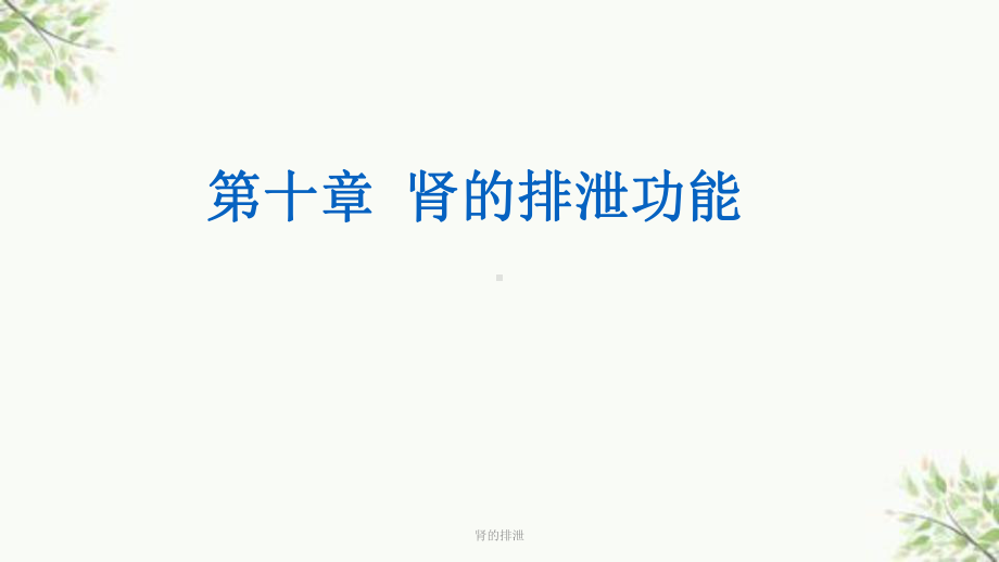 肾的排泄课件.ppt_第1页