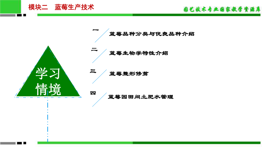 学习情境一：蓝莓品种分类及优良品种介绍课件.ppt_第3页