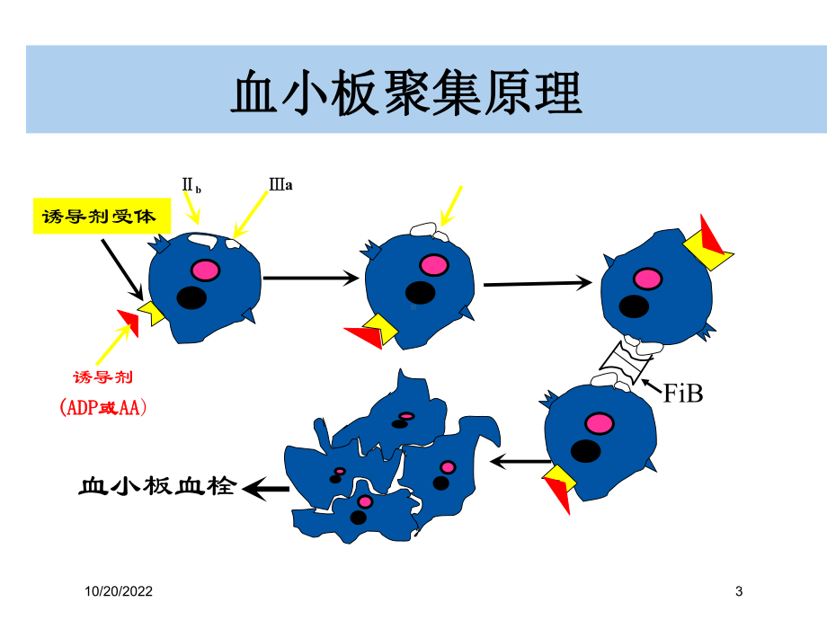 血小板聚集率检测和临床意义培训课件.ppt_第3页