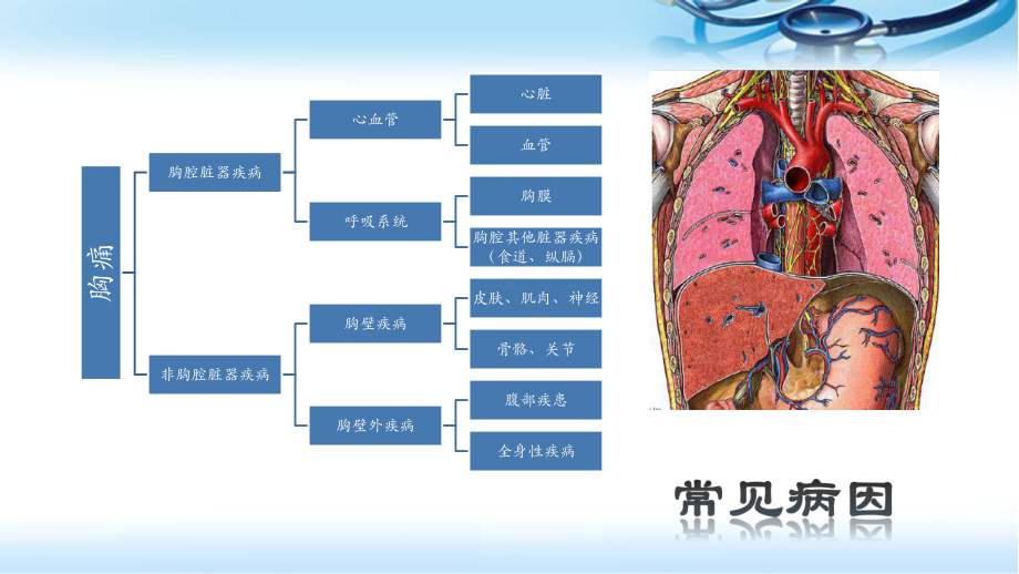 胸痛的诊断与治疗参考课件.pptx_第3页