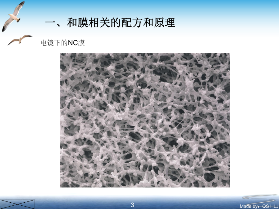 胶体金诊断试剂工艺配方原则概述课件8.ppt_第3页