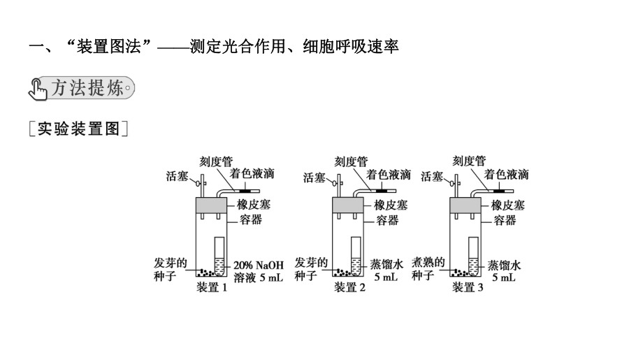 生物一轮复习必修一专题课件：光合作用与细胞呼吸实验探究.ppt_第3页