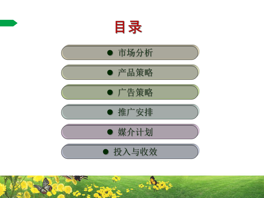 市场推广策划方案实例课件.ppt_第2页