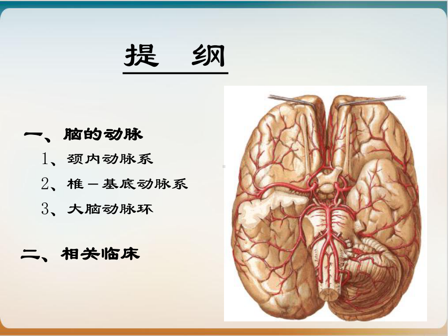 脑动脉解剖图参考课件.ppt_第2页