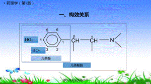 肾上腺素受体激动药培训课件.ppt