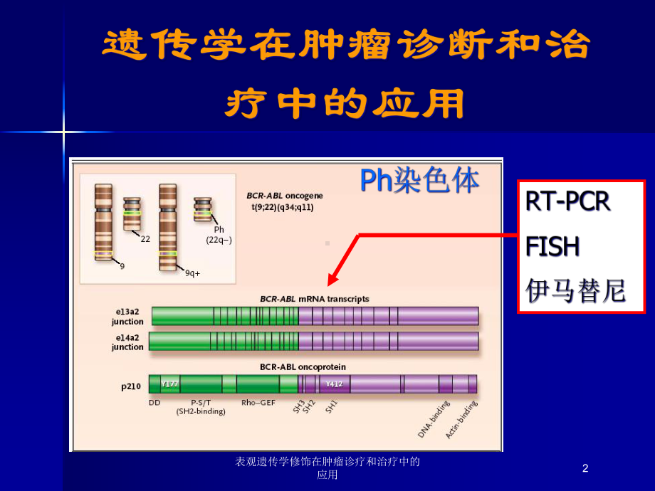 表观遗传学修饰在肿瘤诊疗和治疗中的应用培训课件.ppt_第2页