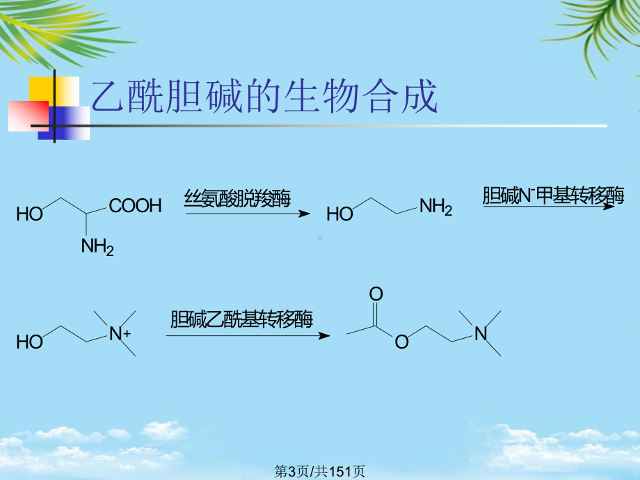 药物化学第三章外周神经系统药物全面版课件.pptx_第3页